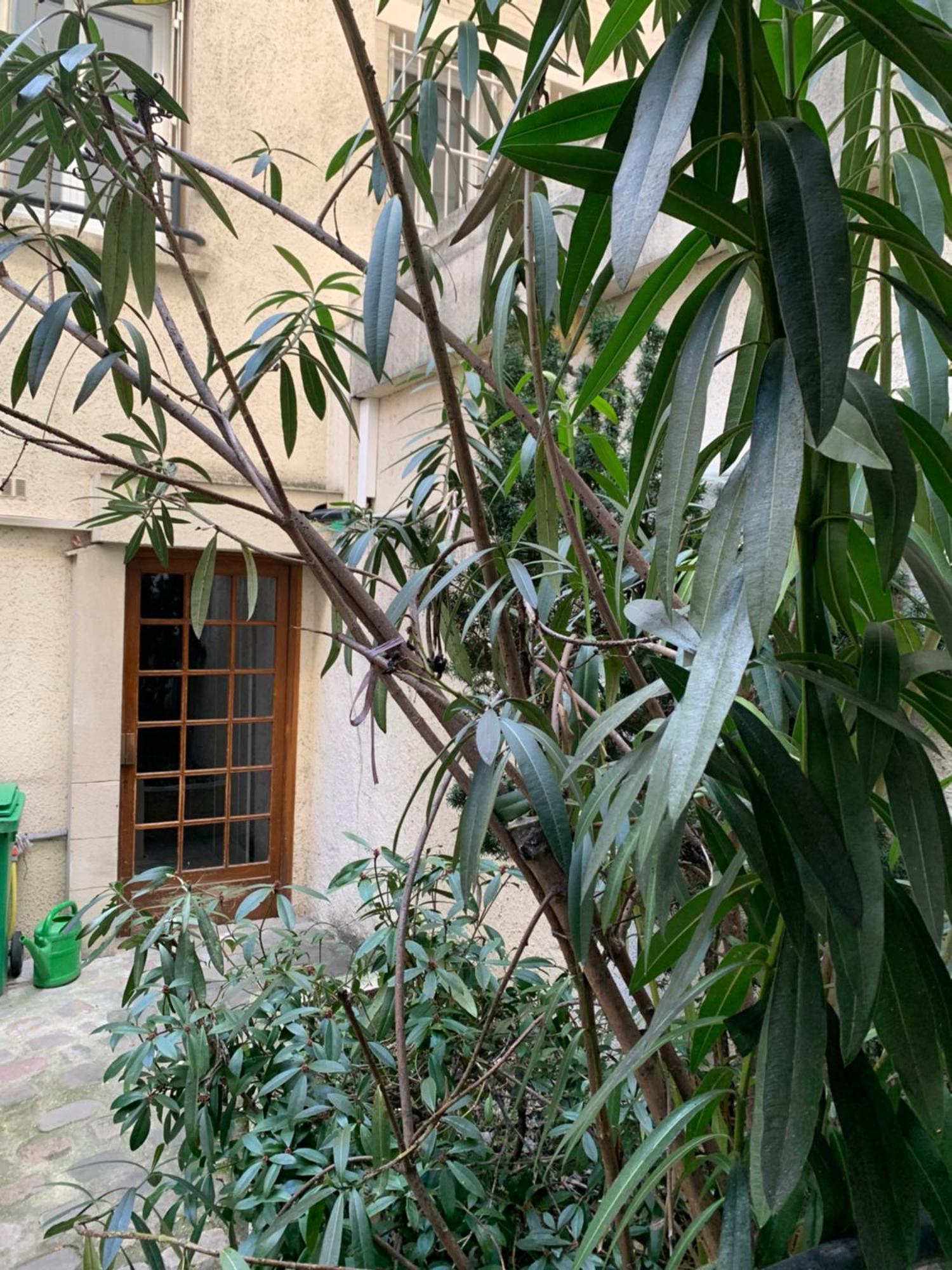 Apartment Amazzing /javel/tour Eiffel /paris