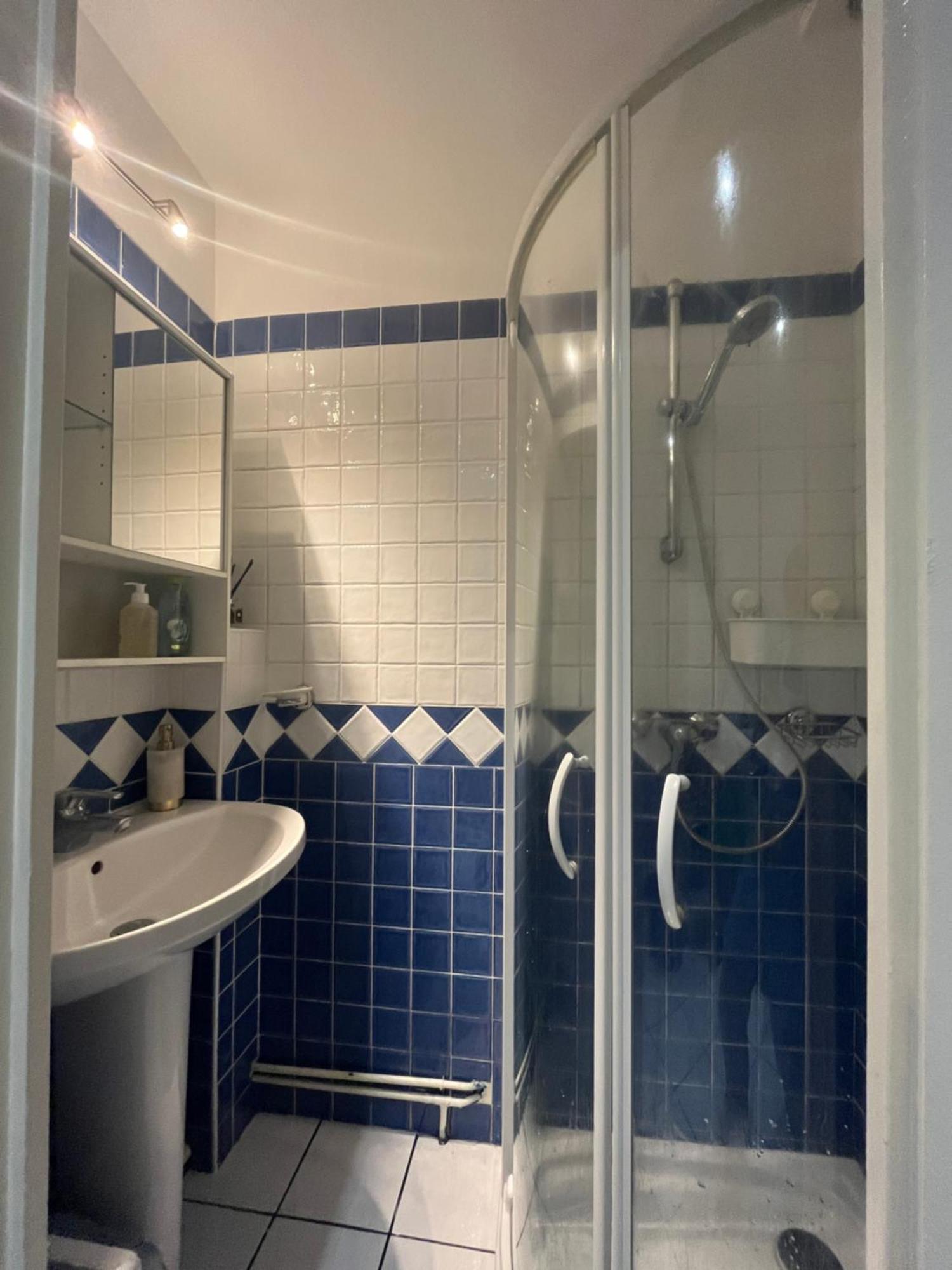 Apartment Amazzing /javel/tour Eiffel /paris *