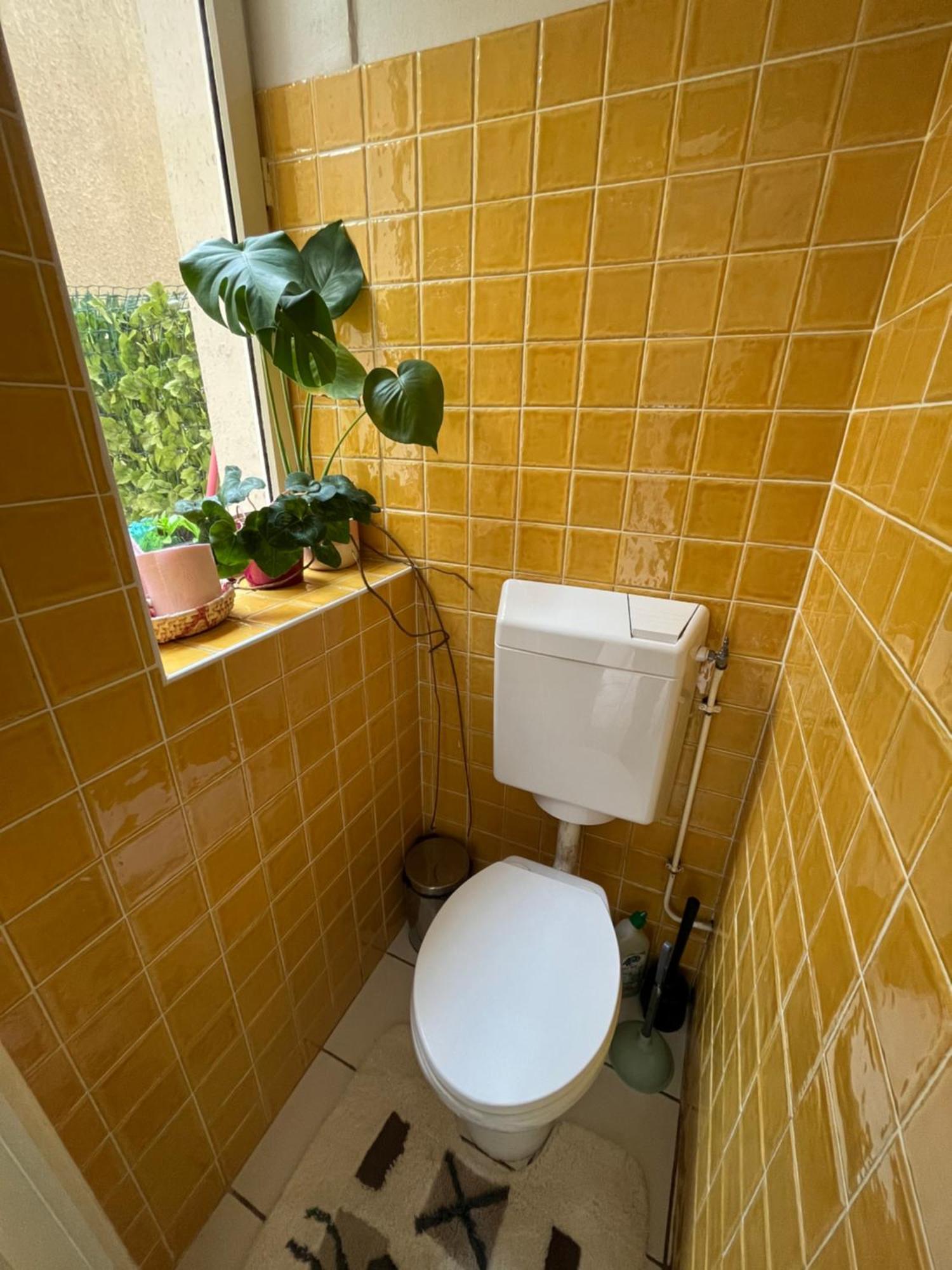 Amazzing /javel/tour Eiffel /paris Apartment