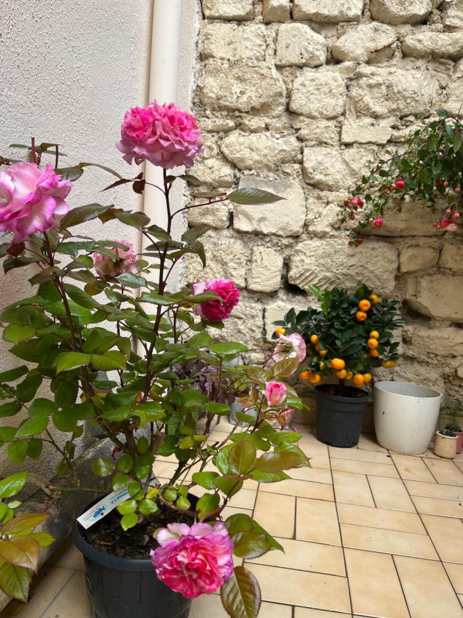 Amazzing /javel/tour Eiffel /paris