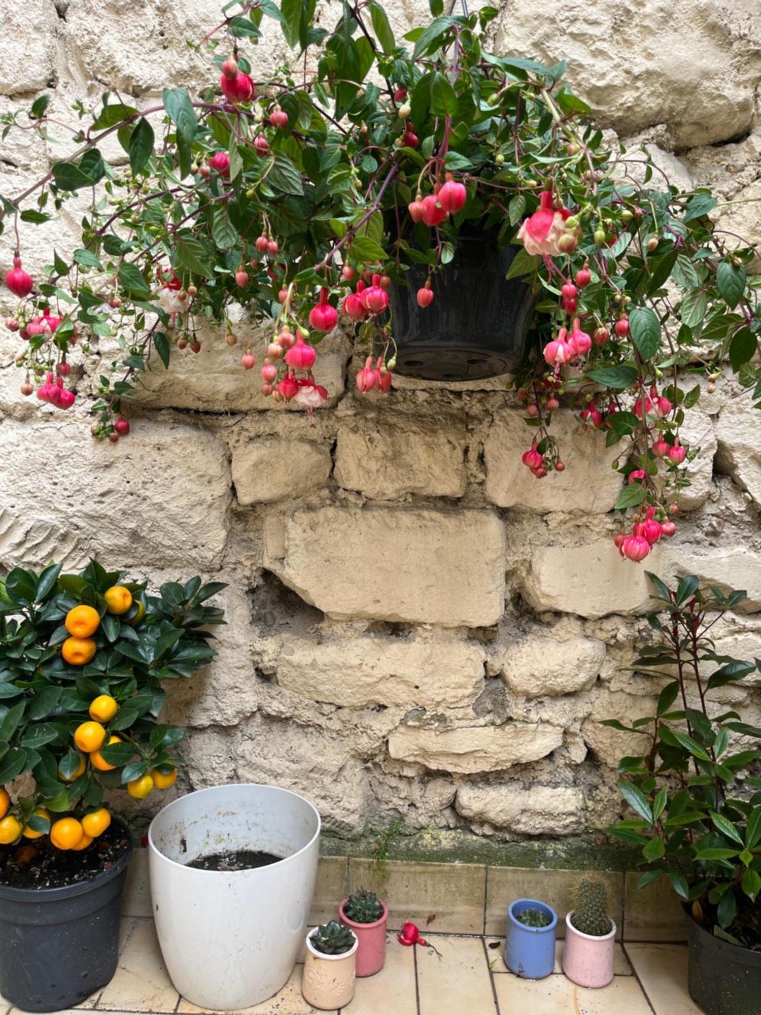 Amazzing /javel/tour Eiffel /paris Paris