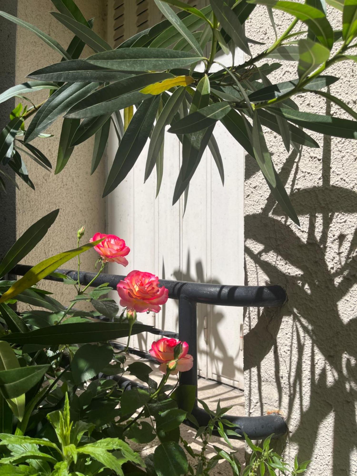 Apartment Amazzing /javel/tour Eiffel /paris *